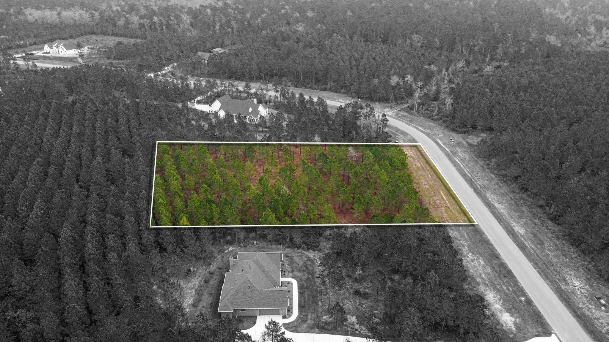 12677 Oak Barrel Road Willis, TX 77378 - Photo 10 of 12 a view of outdoor space