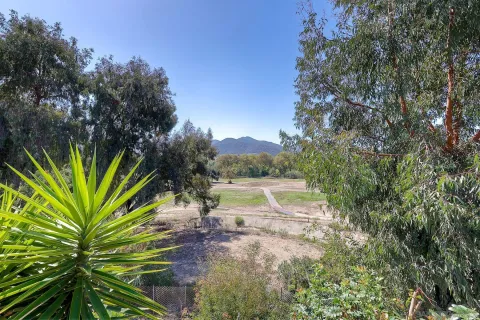 a view of a yard with a tree