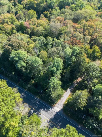 a view of a garden with a lot of trees
