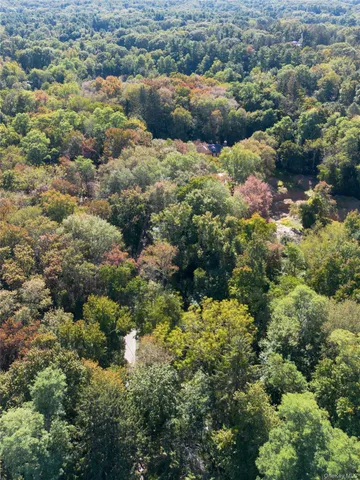 a view of a forest with a house