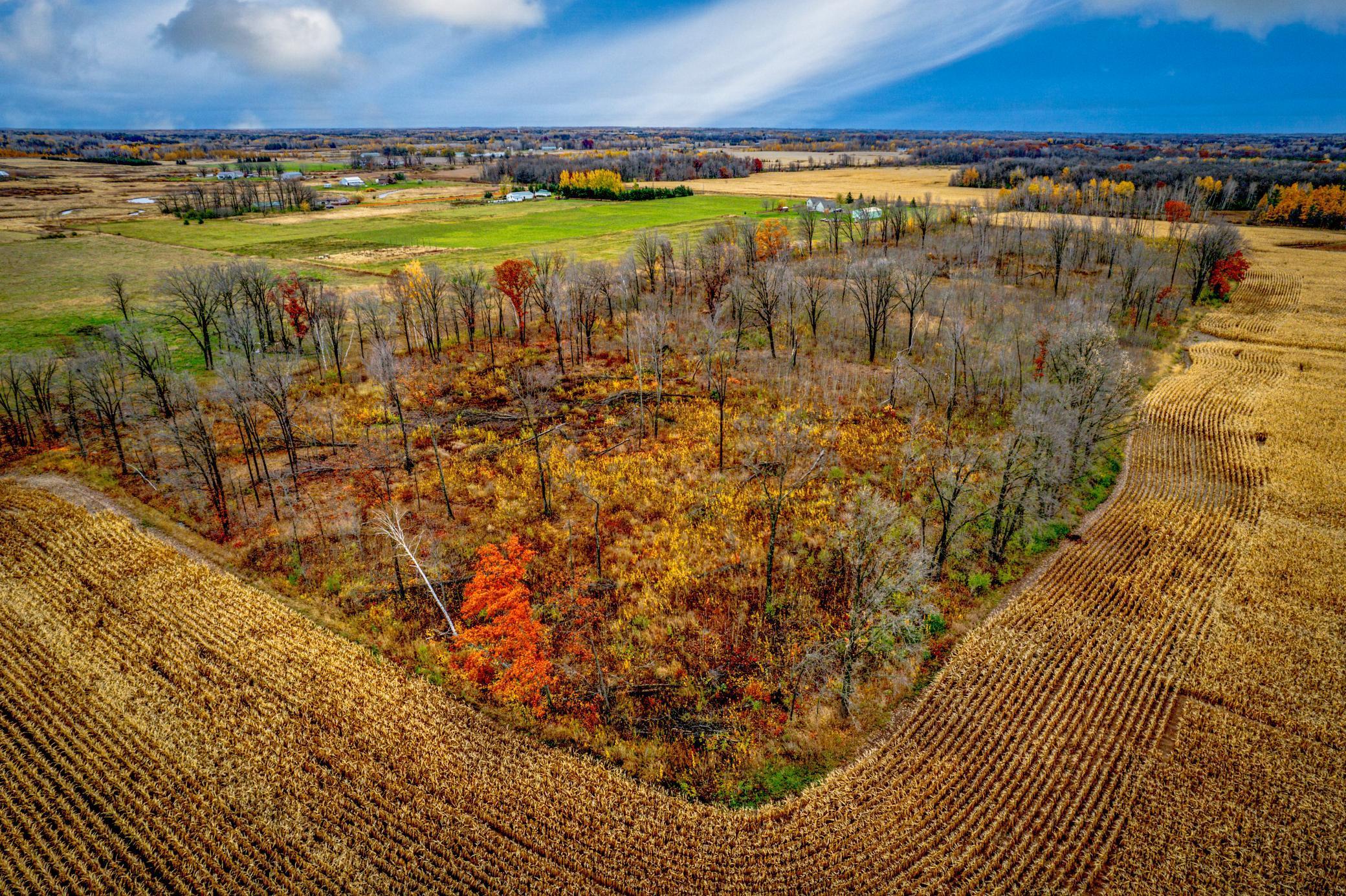 Xxxxx White Oak Road Pine City, MN 55063 - Photo 11 of 11