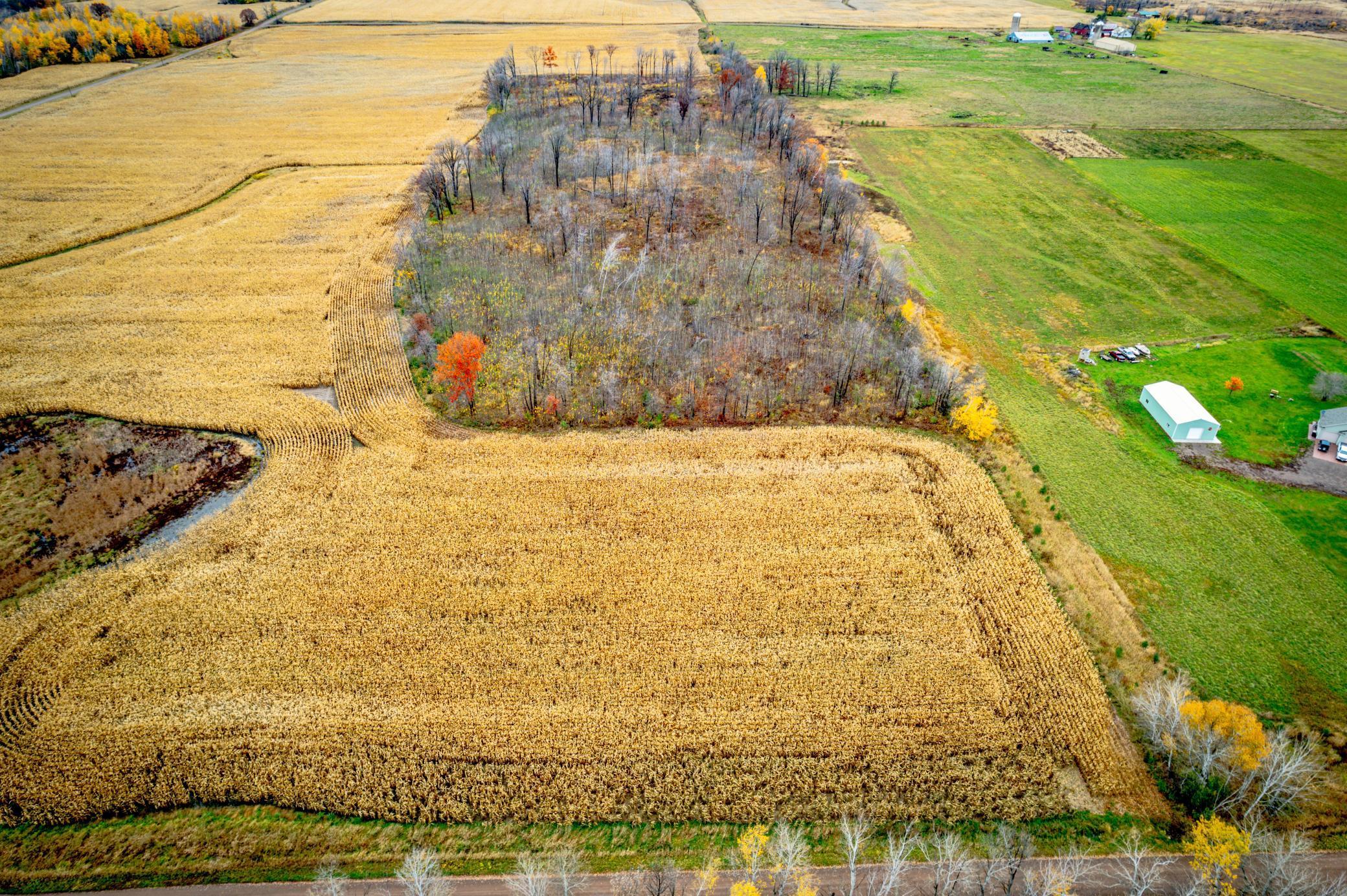 Xxxxx White Oak Road Pine City, MN 55063 - Photo 7 of 11