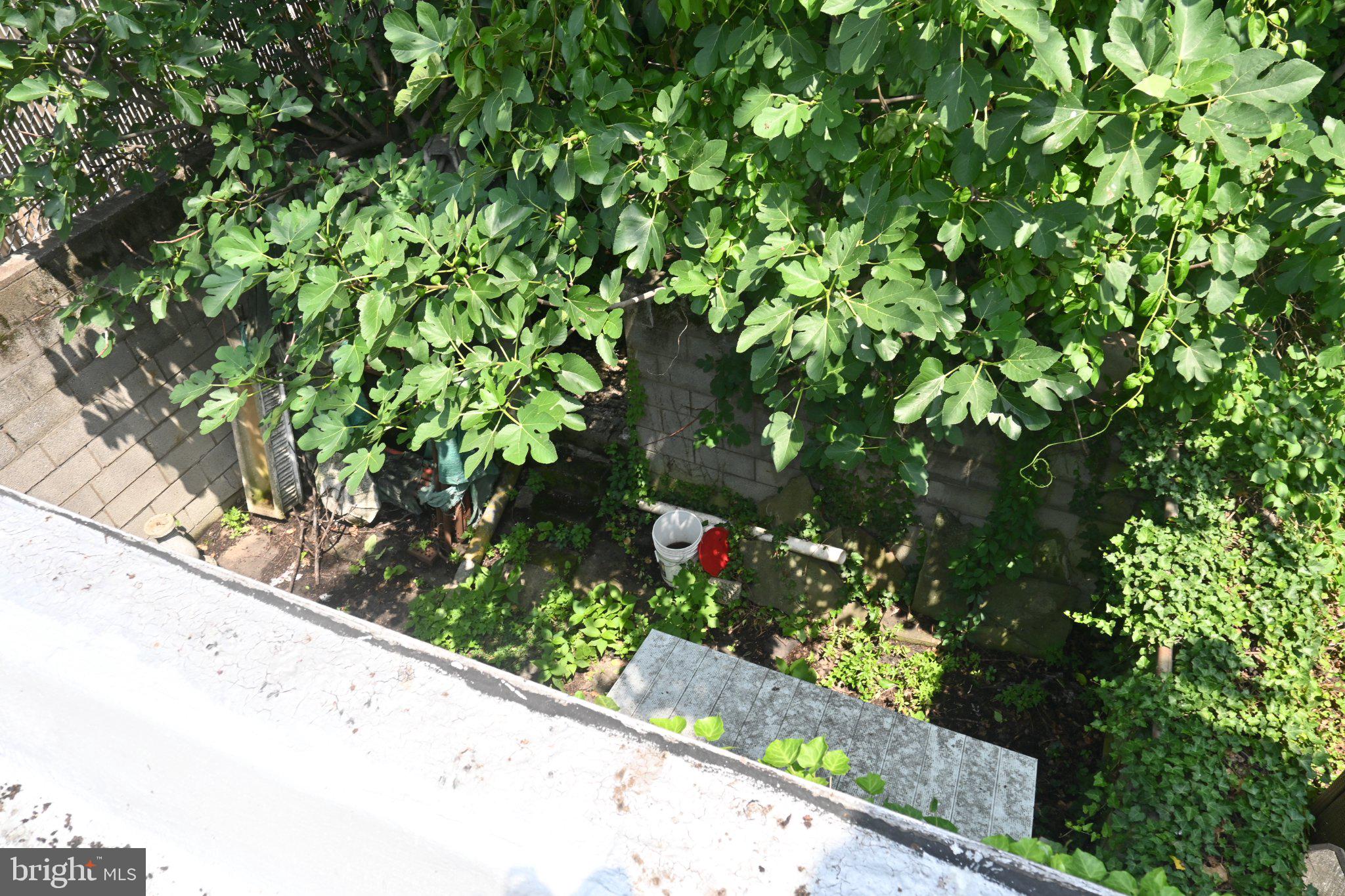 433 North Gross Street Philadelphia, PA 19151 - Photo 25 of 30 Lush greenery envelops a hidden retreat.