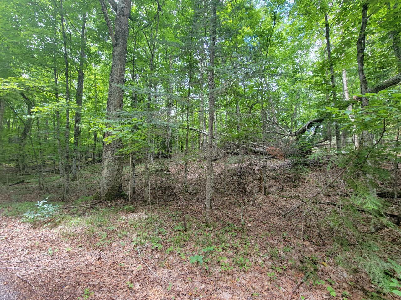 On Tall Timbers Road, Unit 1 5A Presque Isle, WI 54557 - Photo 2 of 2 Gallery Image 2