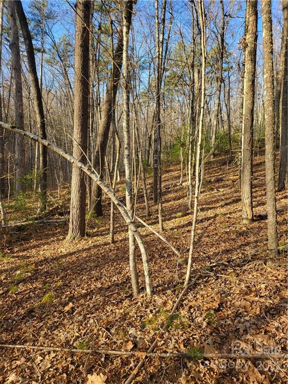 0 Old Yellow Branch Road Robbinsville, NC 28771 - Photo 13 of 20 a backyard of a house with lots of green space