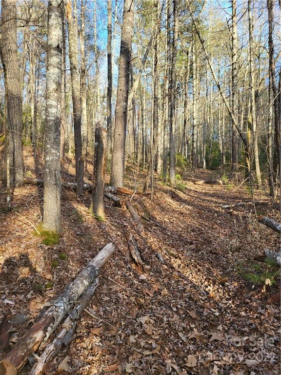 0 Old Yellow Branch Road Robbinsville, NC 28771 - Photo 14 of 20 a backyard of a house with lots of green space