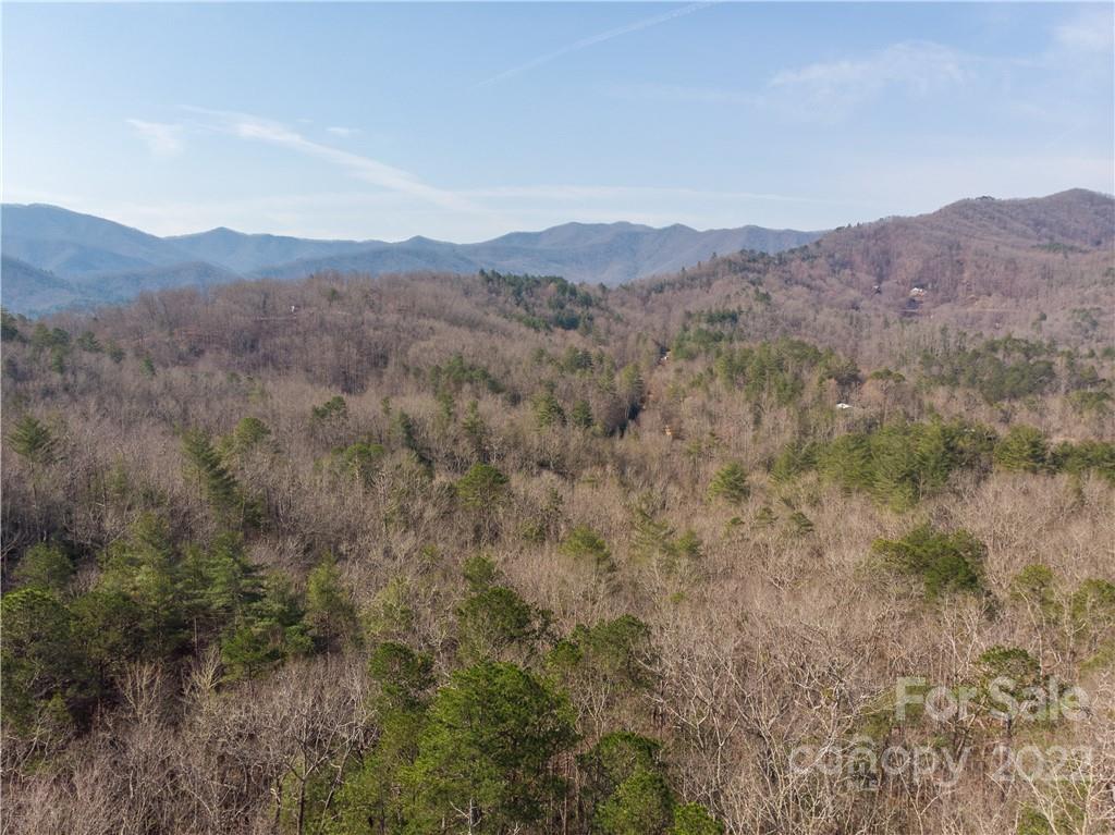 0 Old Yellow Branch Road Robbinsville, NC 28771 - Photo 5 of 20 a view of a mountain in the distance in a field