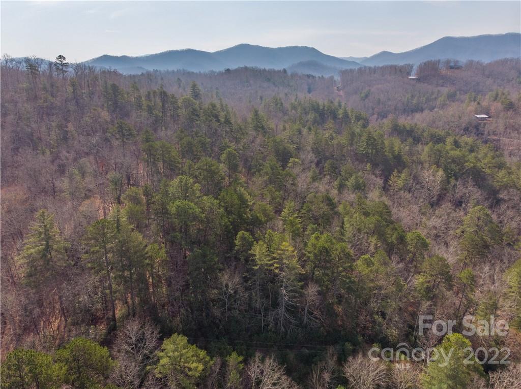 0 Old Yellow Branch Road Robbinsville, NC 28771 - Photo 7 of 20