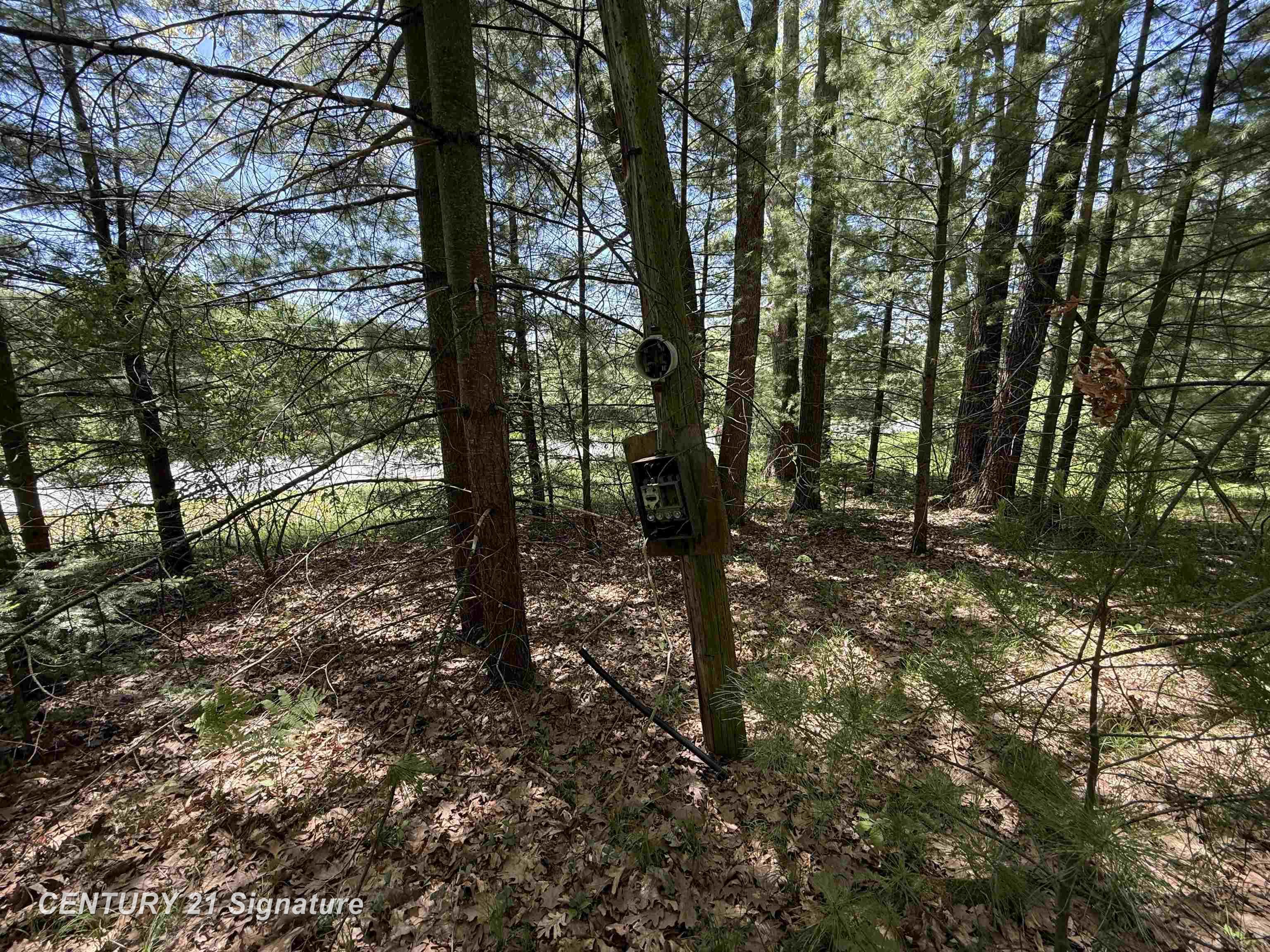 981 East Cranberry Lake Road Harrison, MI 48625 - Photo 4 of 10