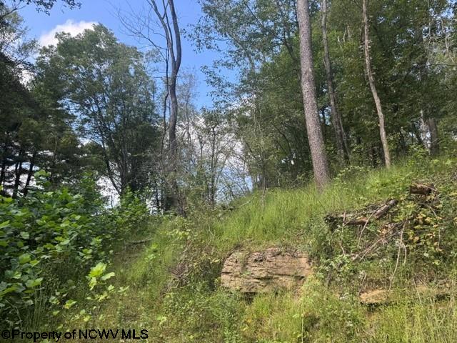Tbd Hagans Road Rivesville, WV 26588 - Photo 16 of 21 Gallery Image 16