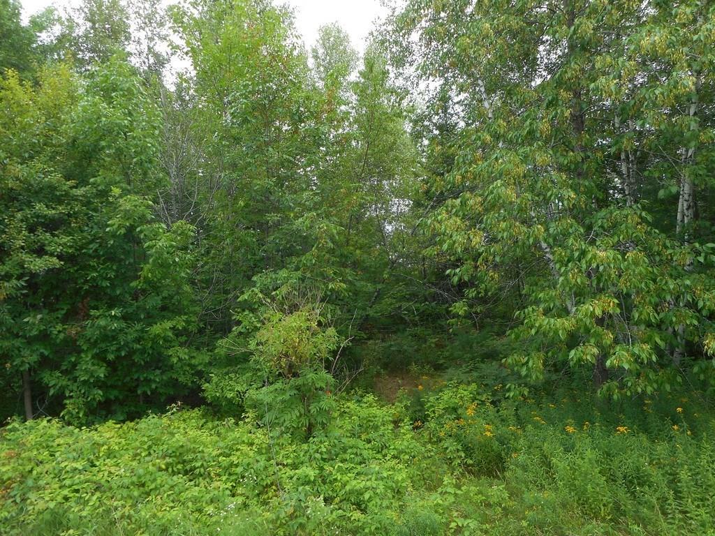 2 French Settlement Road Milford, ME 04461 - Photo 4 of 16 Photo