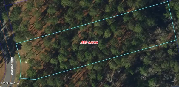 $7,000 | 95 Corolla Loop Road, Arapahoe, NC 28510