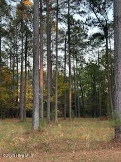 $7,000 | 95 Corolla Loop Road, Arapahoe, NC 28510