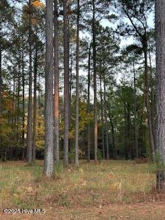 95 Corolla Loop Road Arapahoe, NC 28510 - Photo 2 of 7 View