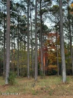 $7,000 | 95 Corolla Loop Road, Arapahoe, NC 28510
