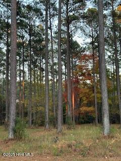 95 Corolla Loop Road Arapahoe, NC 28510 - Photo 5 of 7 quiet and pretty