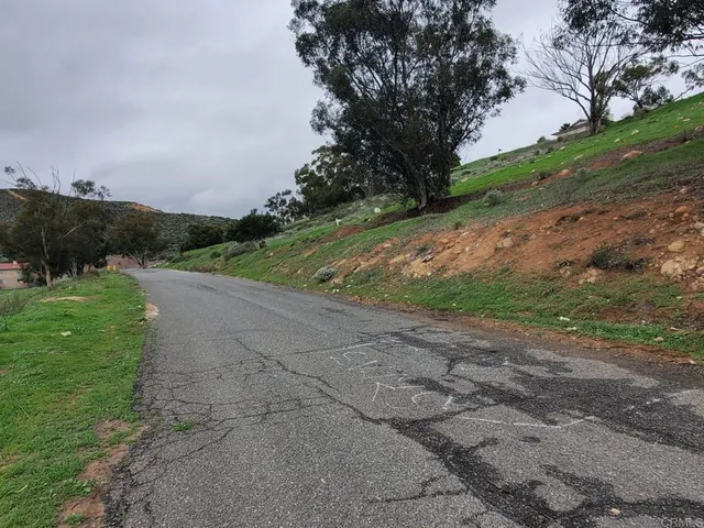 a view of a yard with palm trees