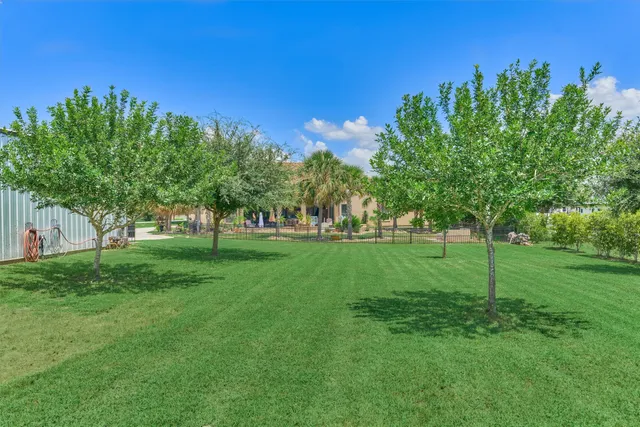 a view of a park with large trees
