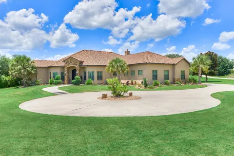 a view of a big yard with plants and large trees