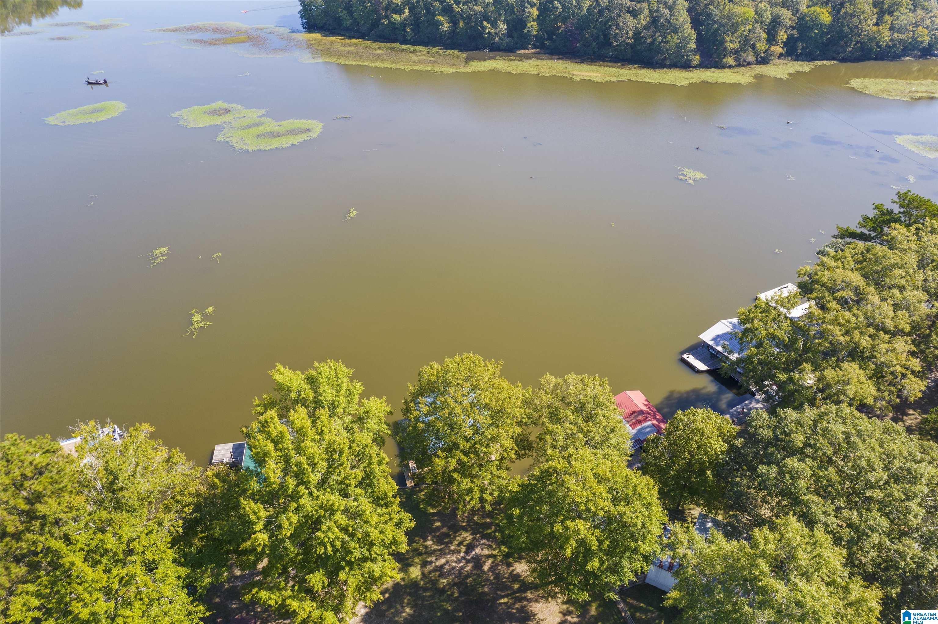 1398 White Oak Road Sylacauga, AL 35151 - Photo 6 of 49