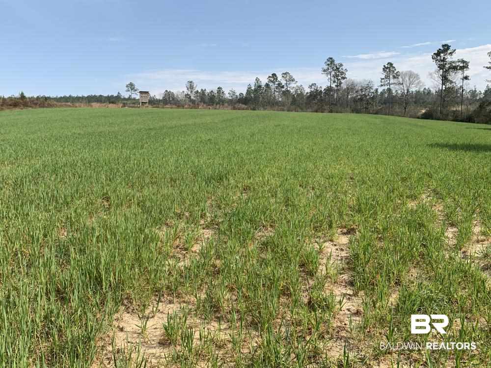 17525 Joe Gottler Road Elberta, AL 36530 - Photo 17 of 44