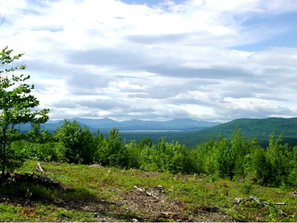 Lot 7 Pocket Mountain Road Ossipee, NH 03864 - Photo 1 of 1