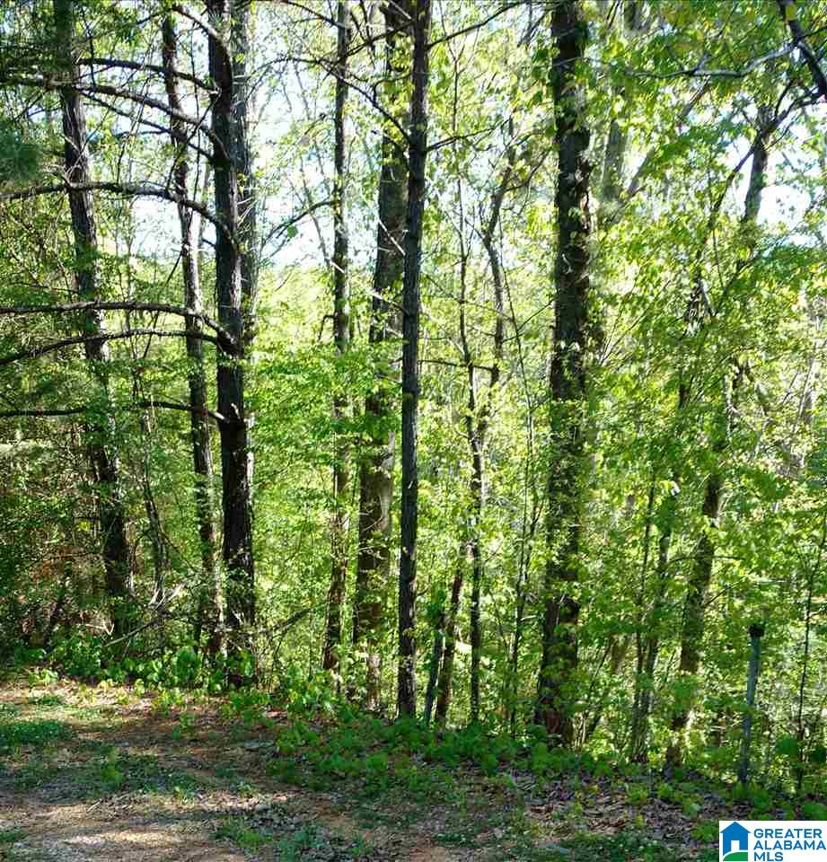 1055 Lynnwood Road Sylacauga, AL 35150 - Photo 16 of 28
