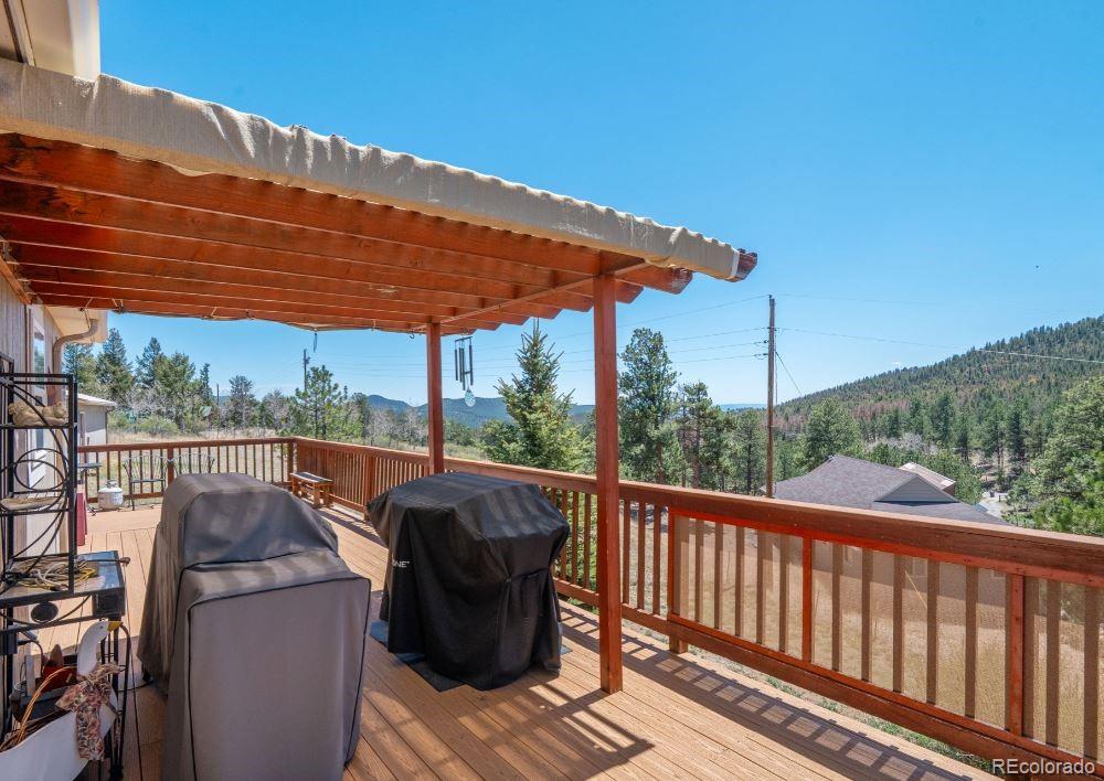 33626 Lutes Road Pine, CO 80470 - Photo 12 of 35