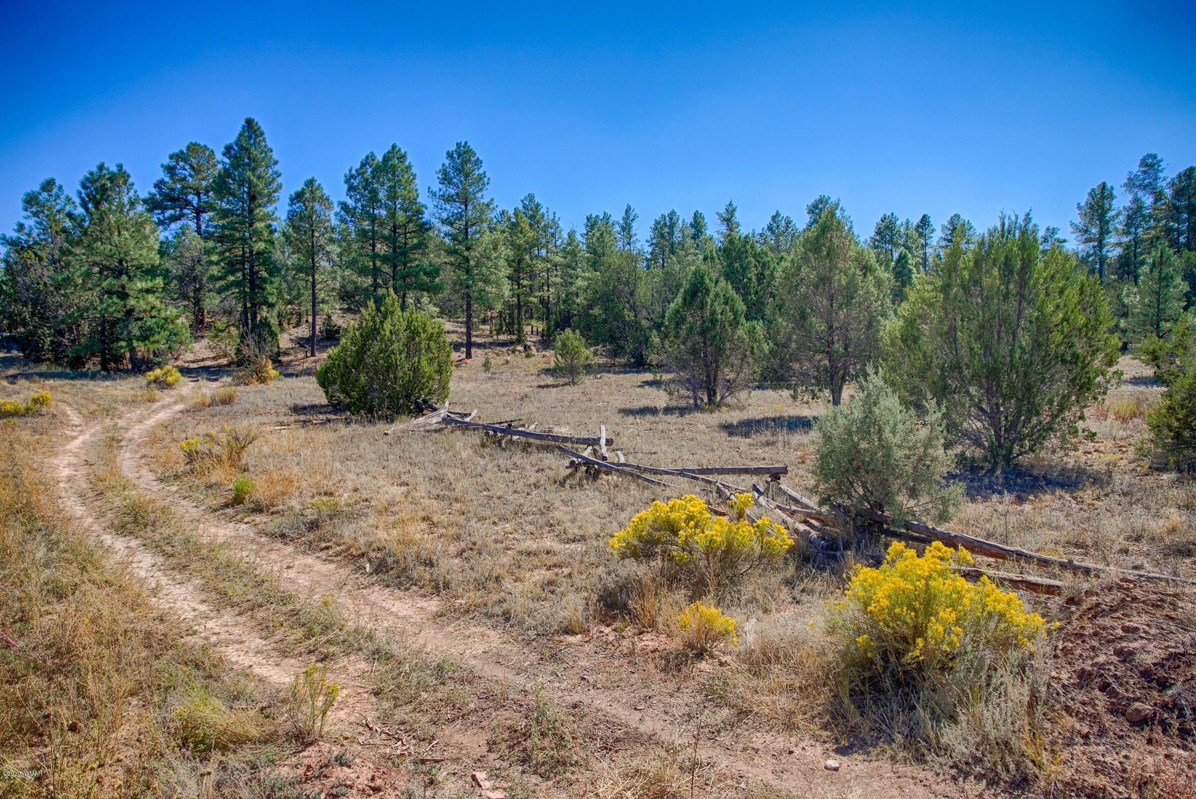 939 Hog Wash Road Show Low, AZ 85901 - Photo 2 of 6 Gallery Image 2