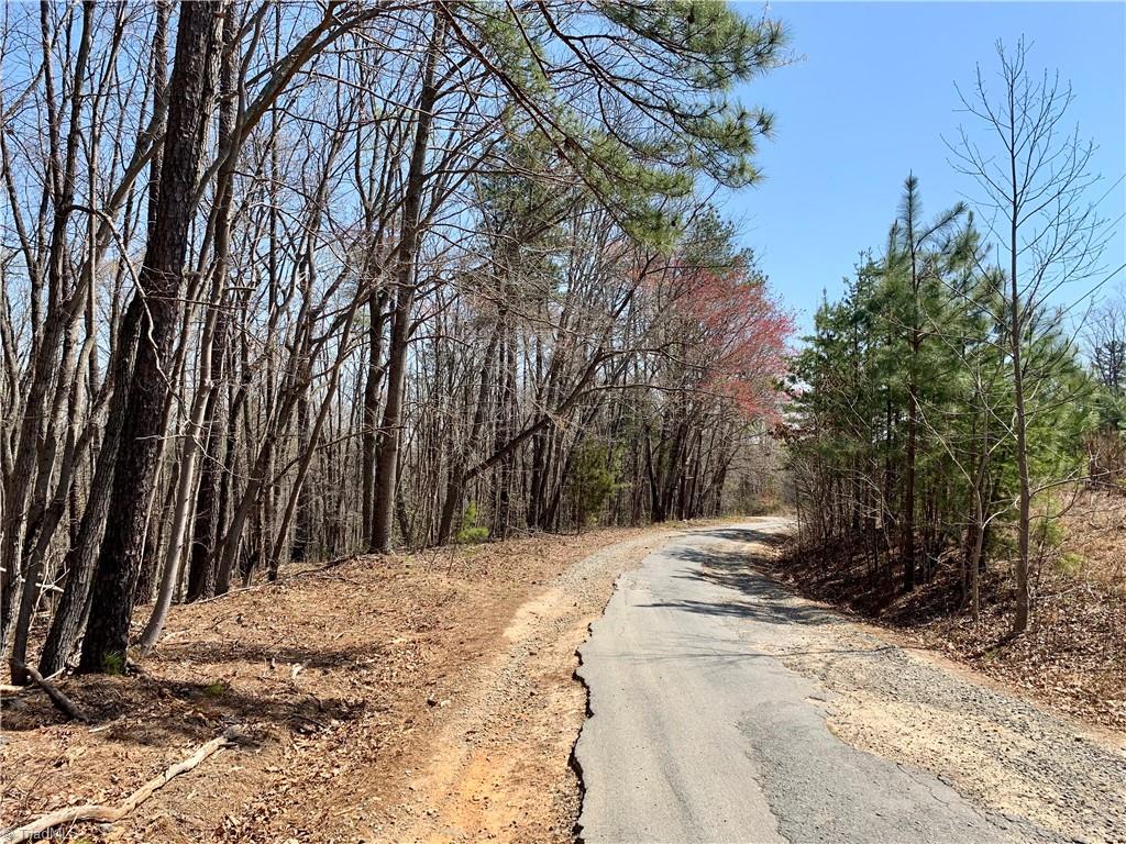 4546 Mountain Spring Road Germanton, NC 27019 - Photo 17 of 21 Gallery Image 17