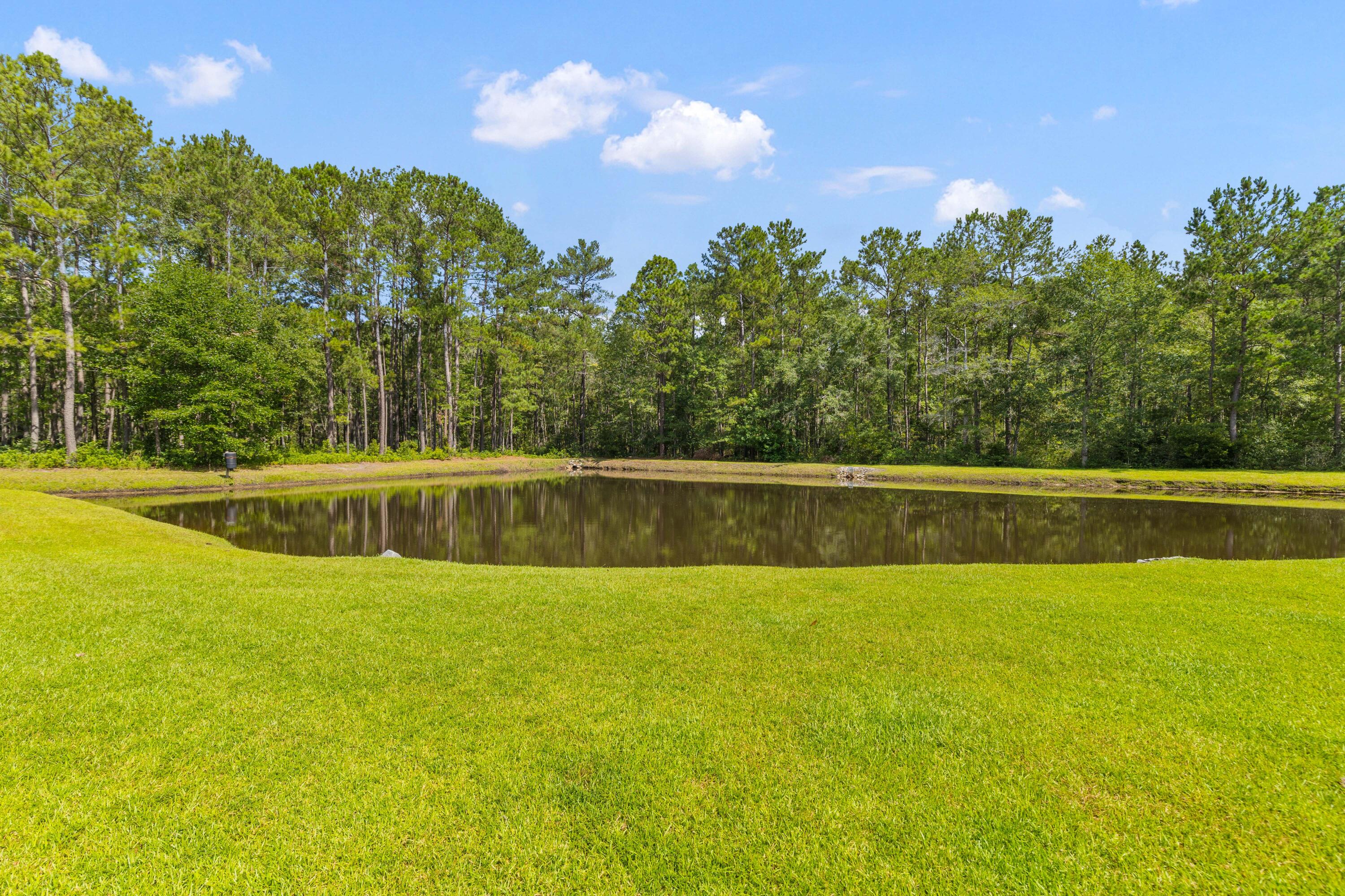 110 Huntington Court Walterboro, SC 29488 - Photo 47 of 54 Private Pond