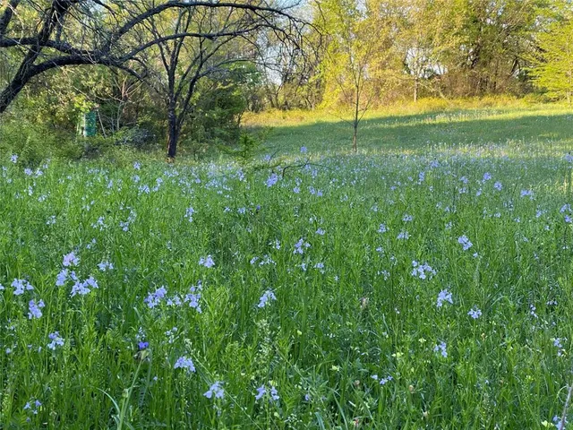 $1,599,000 | 103 Nocona Tx 76255, Nocona, TX 76255