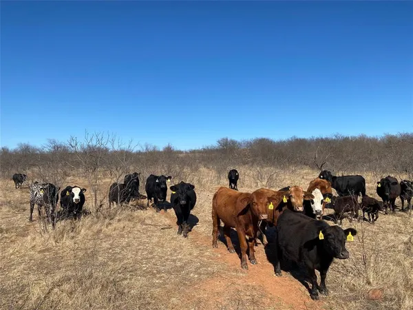 $1,679,000 | 103 Nocona Tx 76255, Nocona, TX 76255