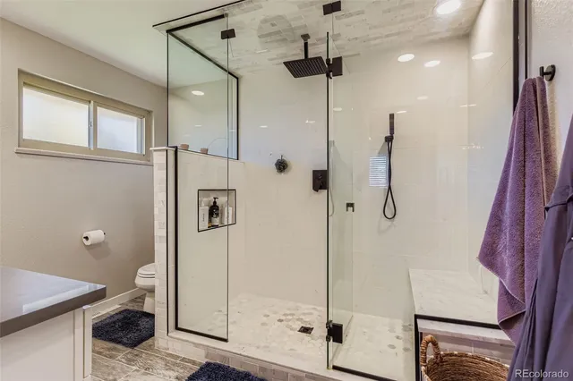 a bathroom with a shower and a toilet