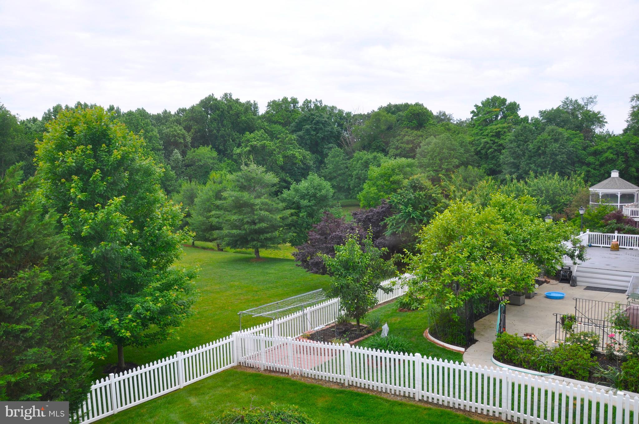 18308 Crestmount Road Boyds, MD 20841 - Photo 5 of 24 a view of a garden from a terrace