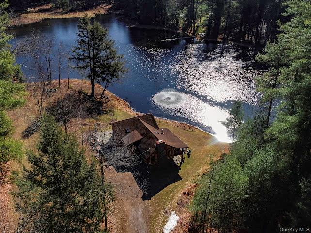 56 Beaver Brook Road Narrowsburg, NY 12764 - Photo 1 of 40