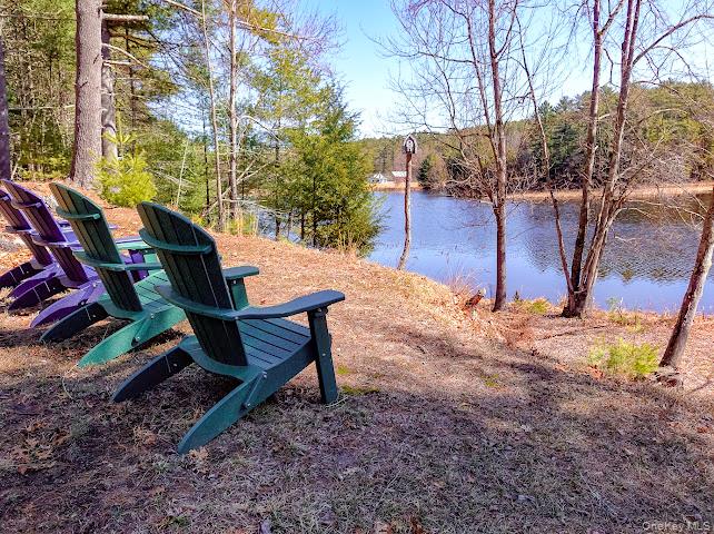 56 Beaver Brook Road Narrowsburg, NY 12764 - Photo 29 of 40