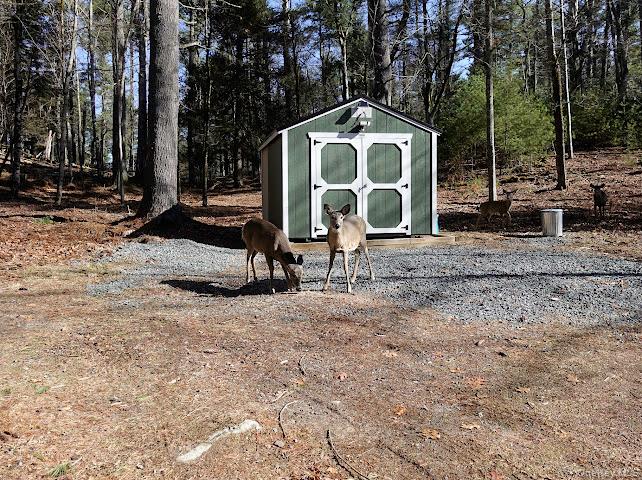 56 Beaver Brook Road Narrowsburg, NY 12764 - Photo 31 of 40