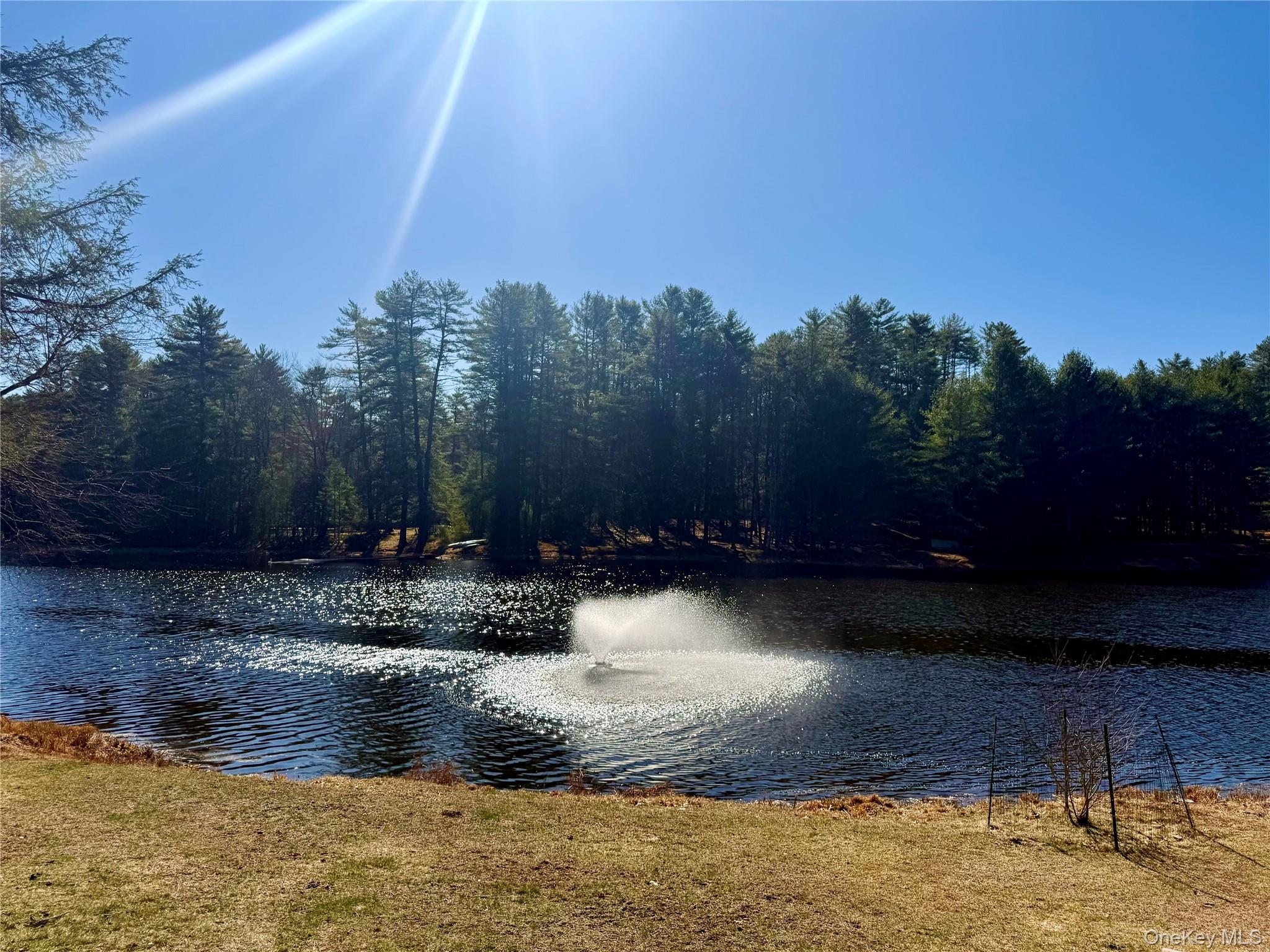 56 Beaver Brook Road Narrowsburg, NY 12764 - Photo 36 of 40