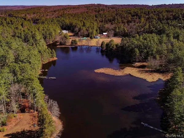 $549,000 | 56 Beaver Brook Road, Narrowsburg, NY 12764