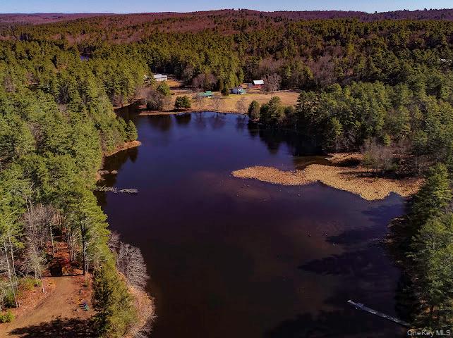 56 Beaver Brook Road Narrowsburg, NY 12764 - Photo 5 of 40