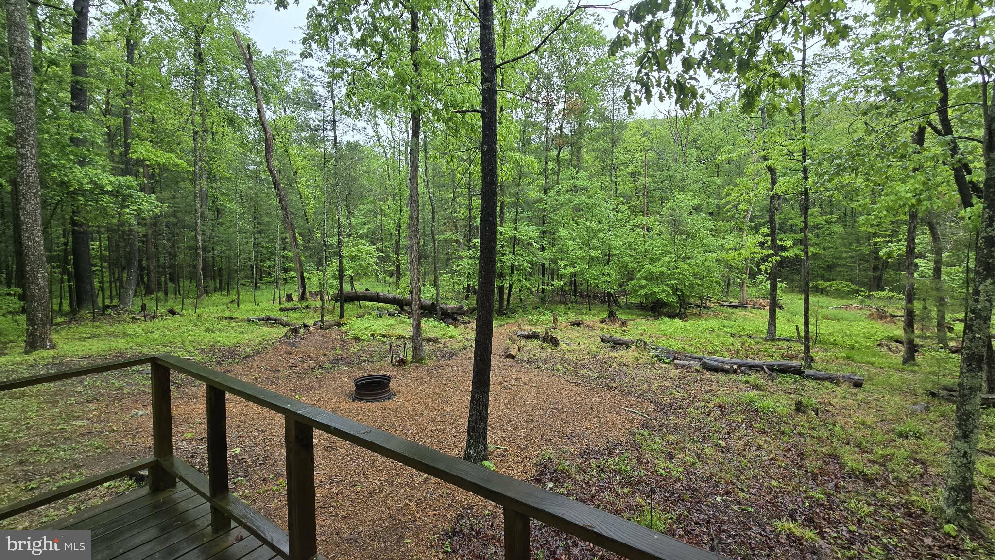 8245 Aughwick Road Fort Loudon, PA 17224 - Photo 6 of 26 a view of a trees in a yard