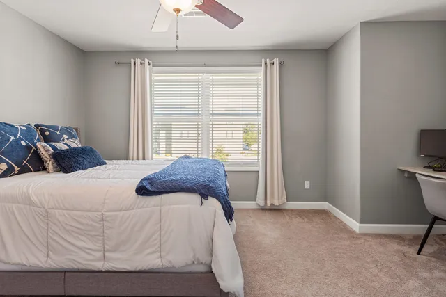 a large room with a couch and a potted plant