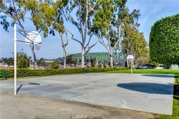 a view of a park