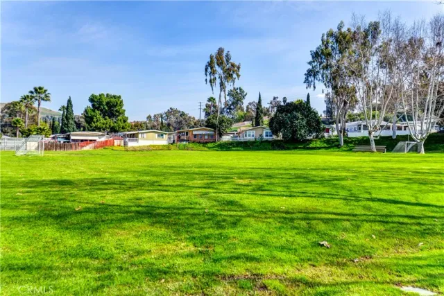 a view of a park with large trees