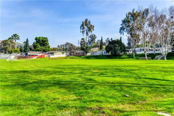 a view of a park with large trees