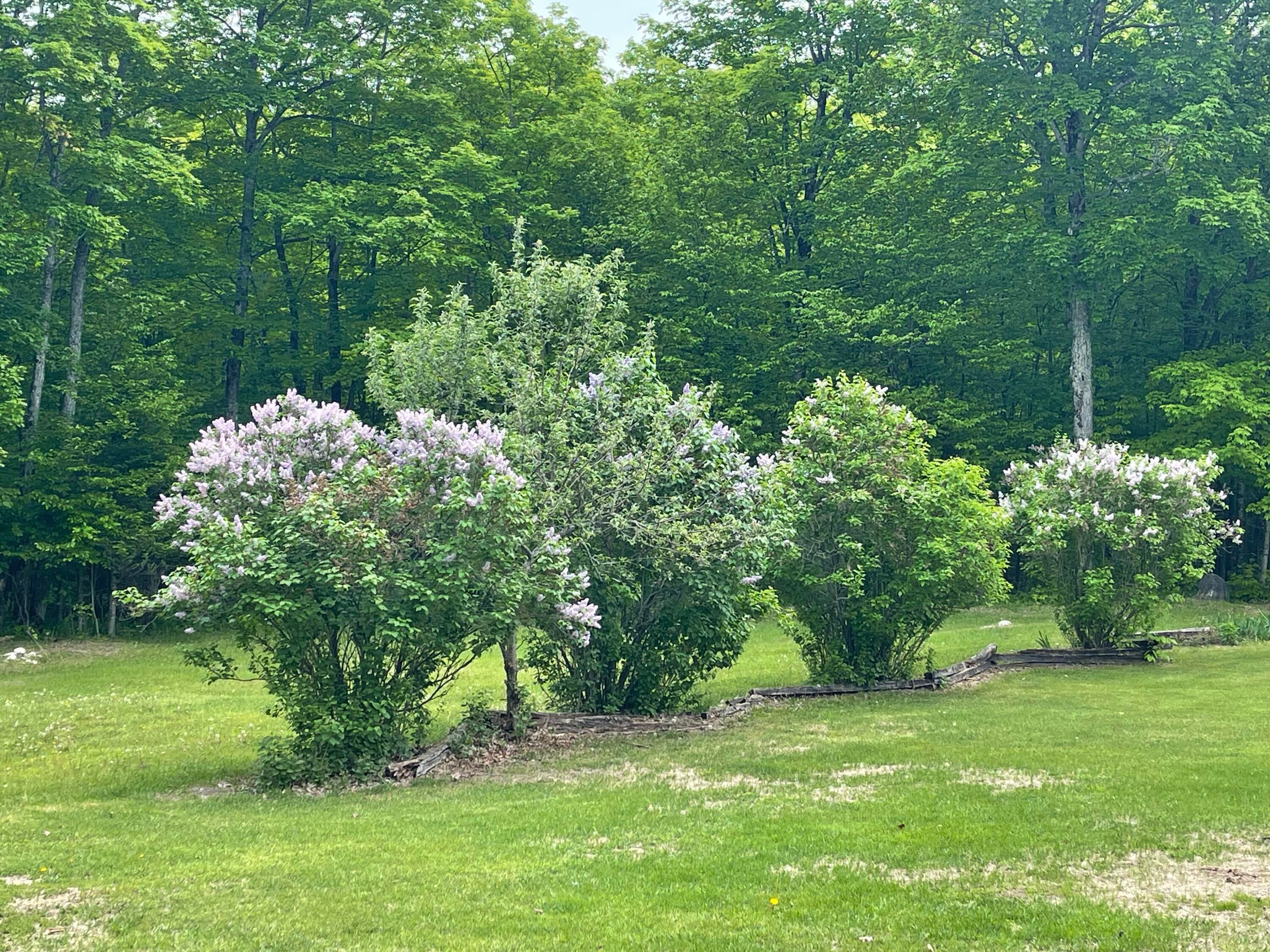 2865 West Chard Road Hessel, MI 49745 - Photo 22 of 34 Gallery Image 22