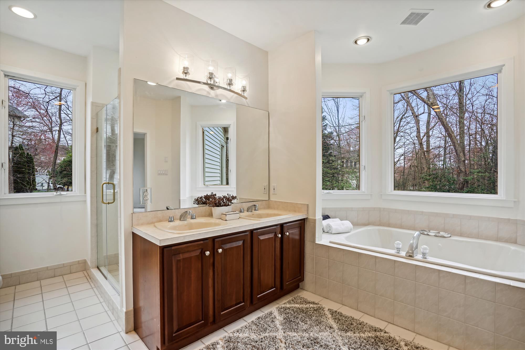 1108 Water Pointe Lane Reston, VA 20194 - Photo 30 of 77 Primary bath with soaking tub and windows