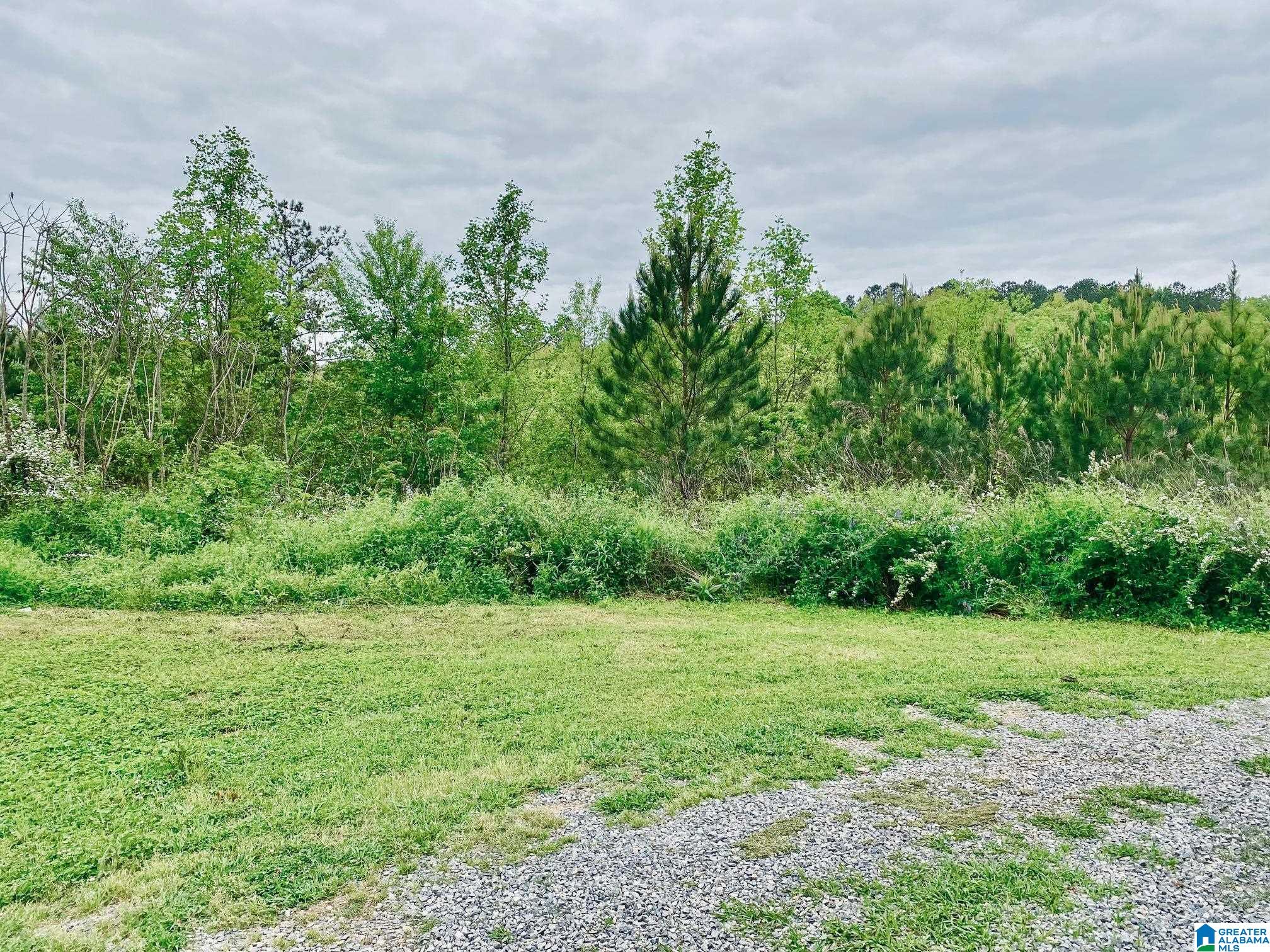 397 County Road 27 Heflin, AL 36264 - Photo 5 of 26