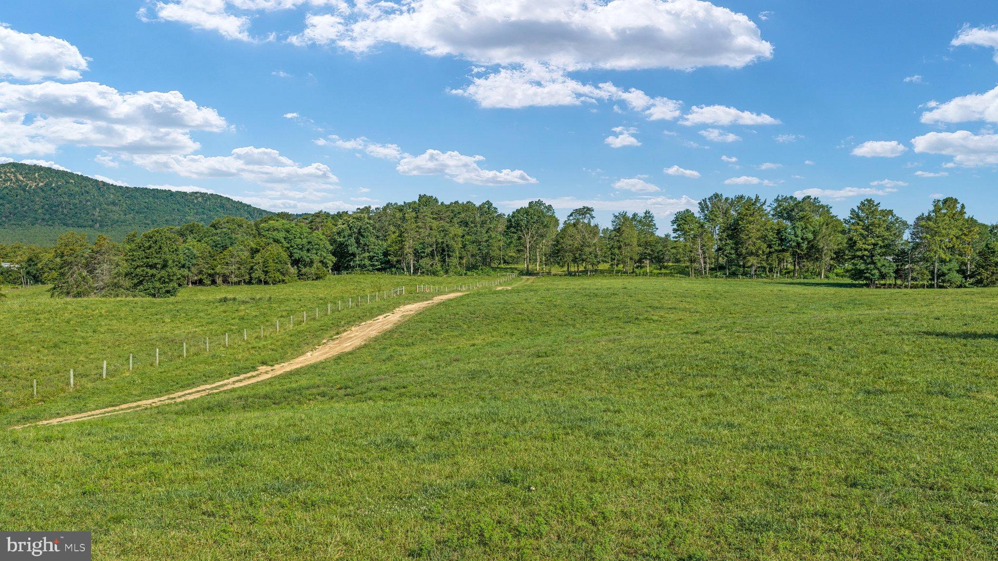 359 Ridgeway Road Front Royal, VA 22630 - Photo 99 of 136 DJI_20260804091053_0046_D_ 359 Ridgeway Rd - Absol